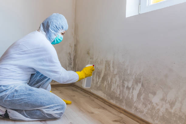 Licensed Mold Testing service in Hawthorne, NY - WQB Mold Removal